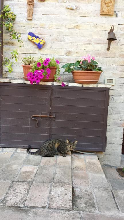 B&B La Casuccia Di Assisi Ngoại thất bức ảnh